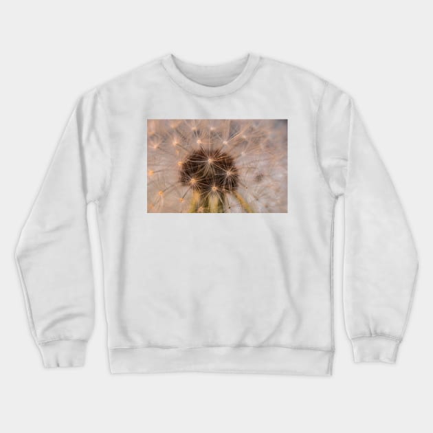 Dandelion 3 Crewneck Sweatshirt by KensLensDesigns